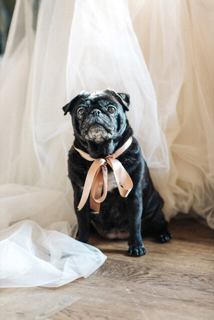LROC6540_1920px_fridas-schmuck-trauringe-eheringe-verlobungsringe-münchen